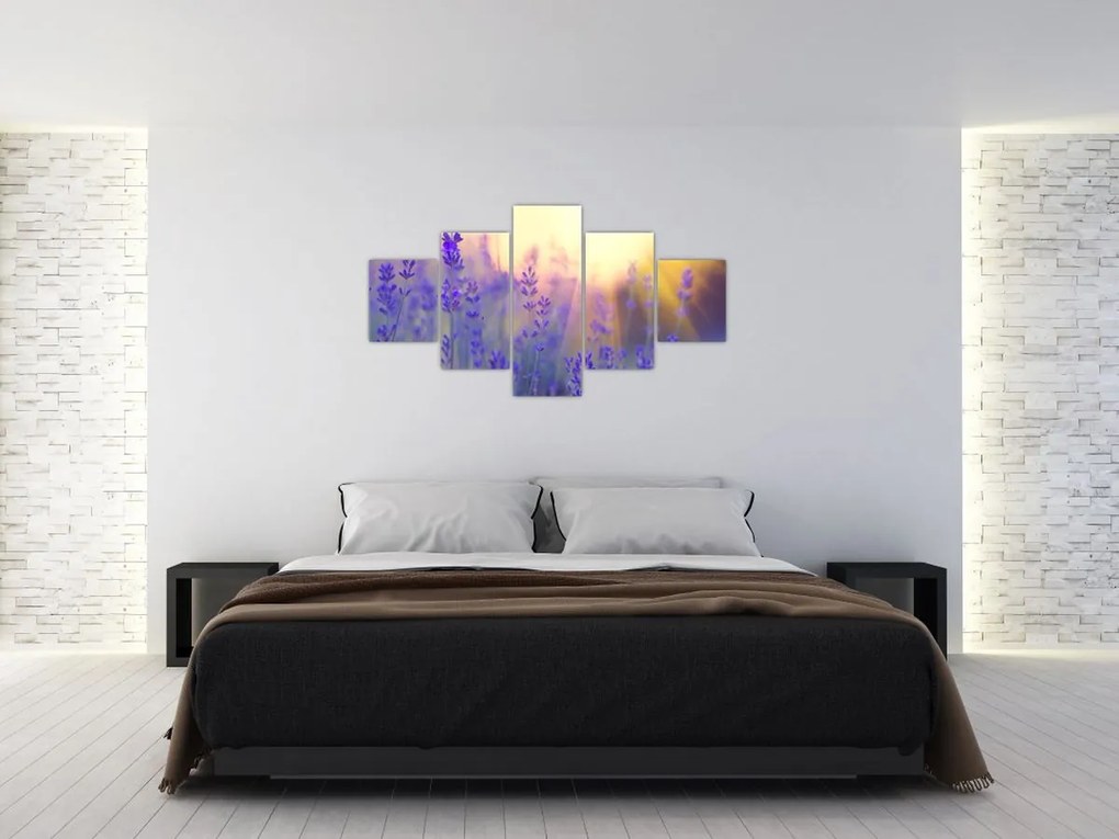 Obraz - Lawenda (125x70 cm)