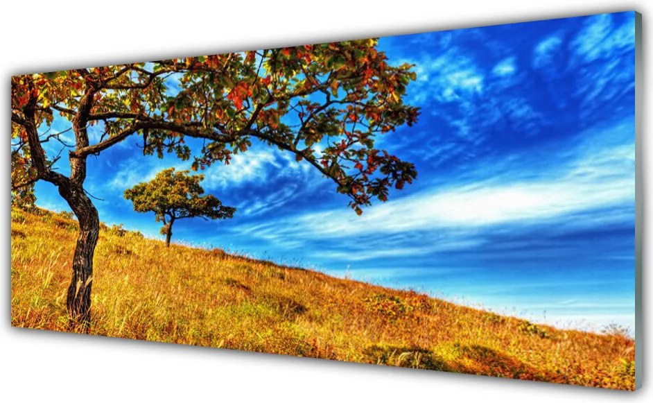 Szkło Ozdobne do Kuchni Samotne Drzewo na Horyzoncie