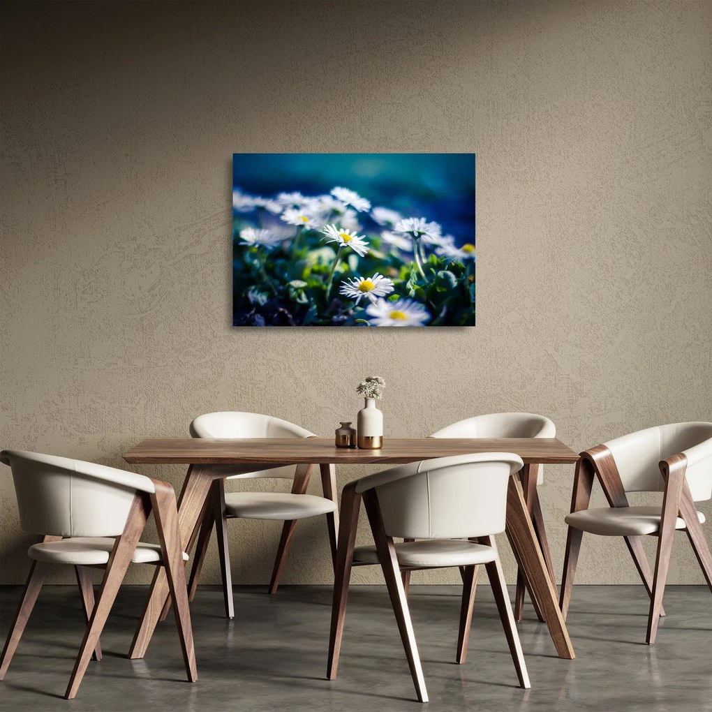 Obraz na szkle stokrotek (70x50 cm)