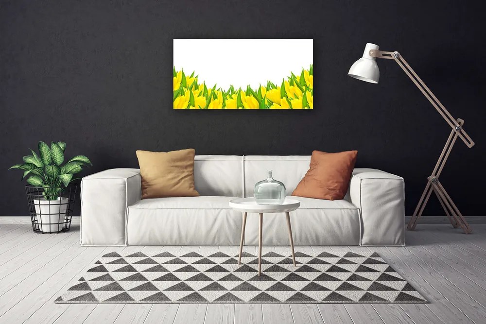 Obraz Canvas Kwiaty Natura Tulipany