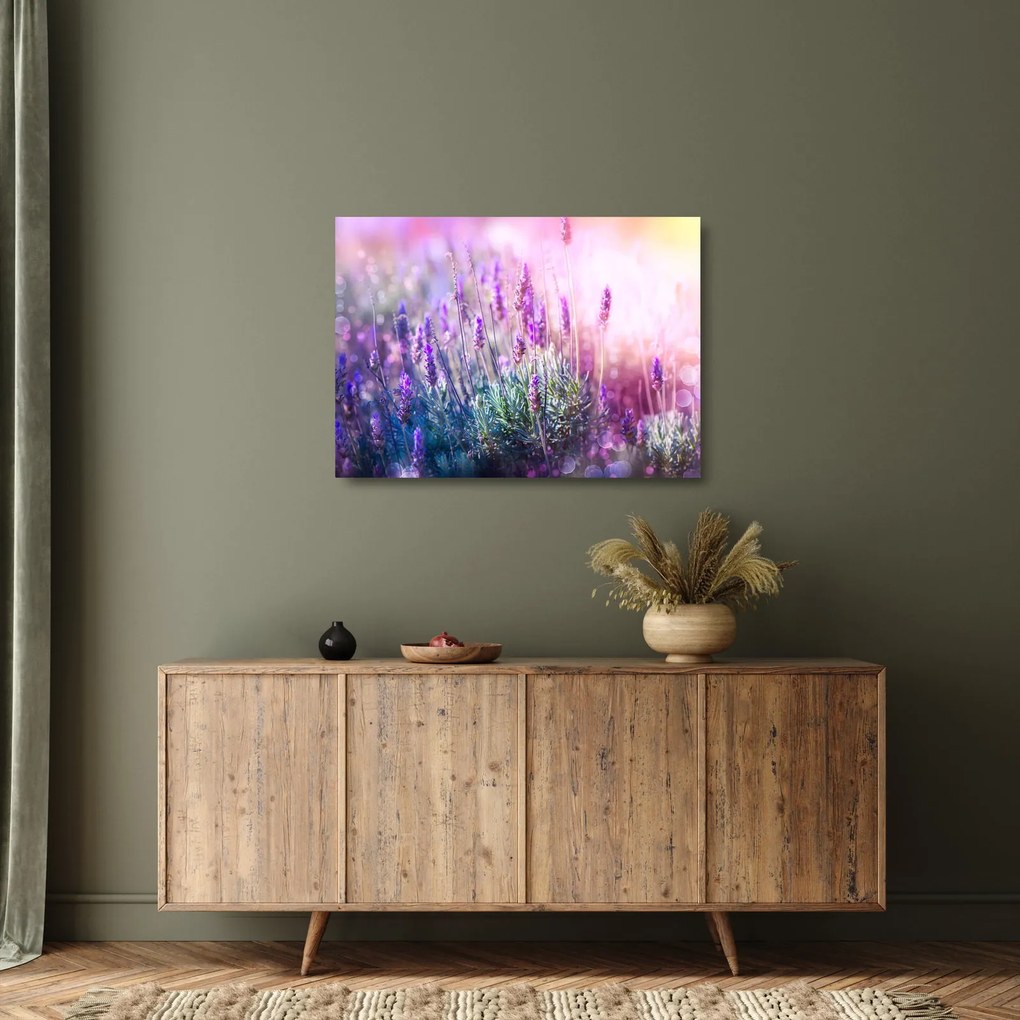 Obraz na szkle - Lawenda w słońcu (70x50 cm)