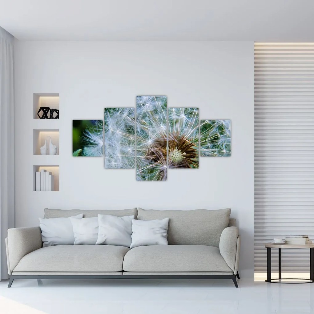 Obraz przekwitniętego dmuchawca (125x70 cm)