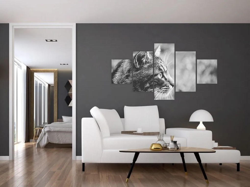 Obraz - Kot (125x70 cm)