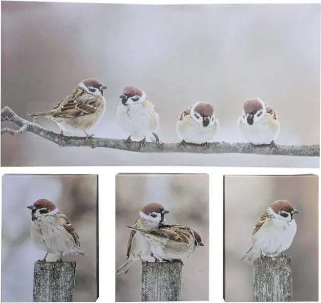 Zestaw obrazów ściennych Wróble na gałęzi, 4 szt.