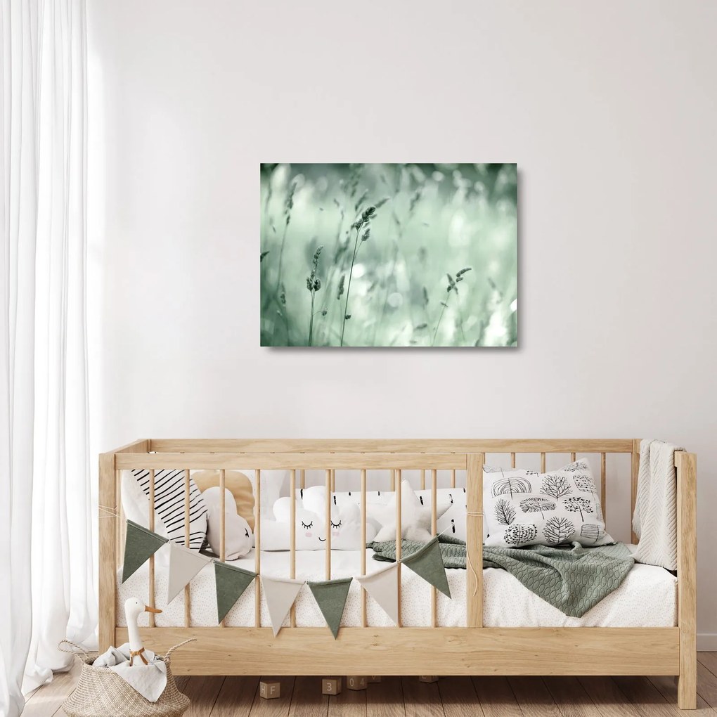 Obraz na szkle - Zielona łąka (70x50 cm)