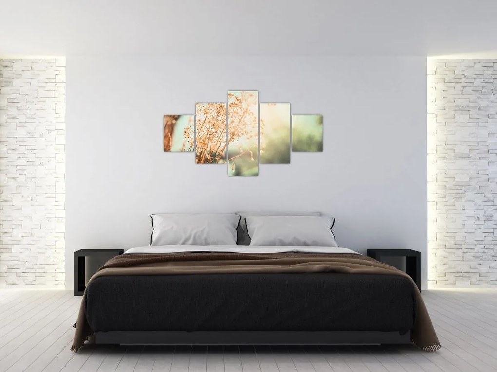 Obraz - Rośliny po deszczu (125x70 cm)