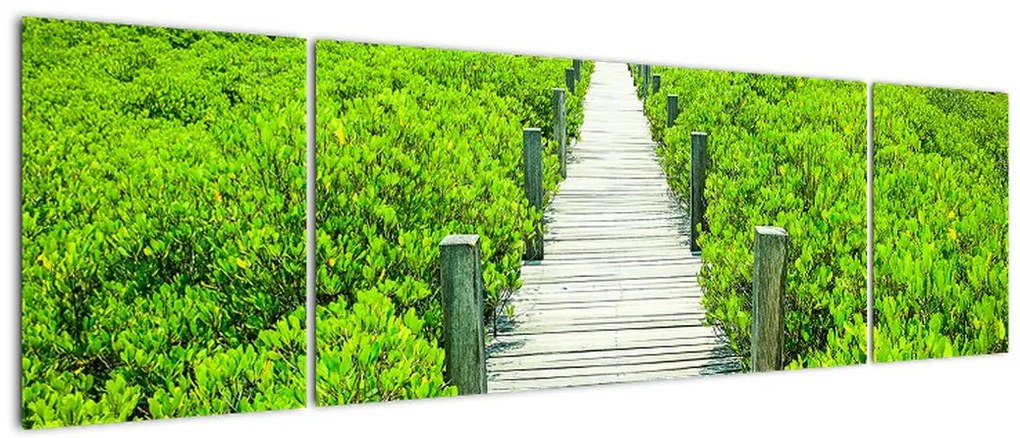 Obraz - drewniany chodnik (170x50 cm)