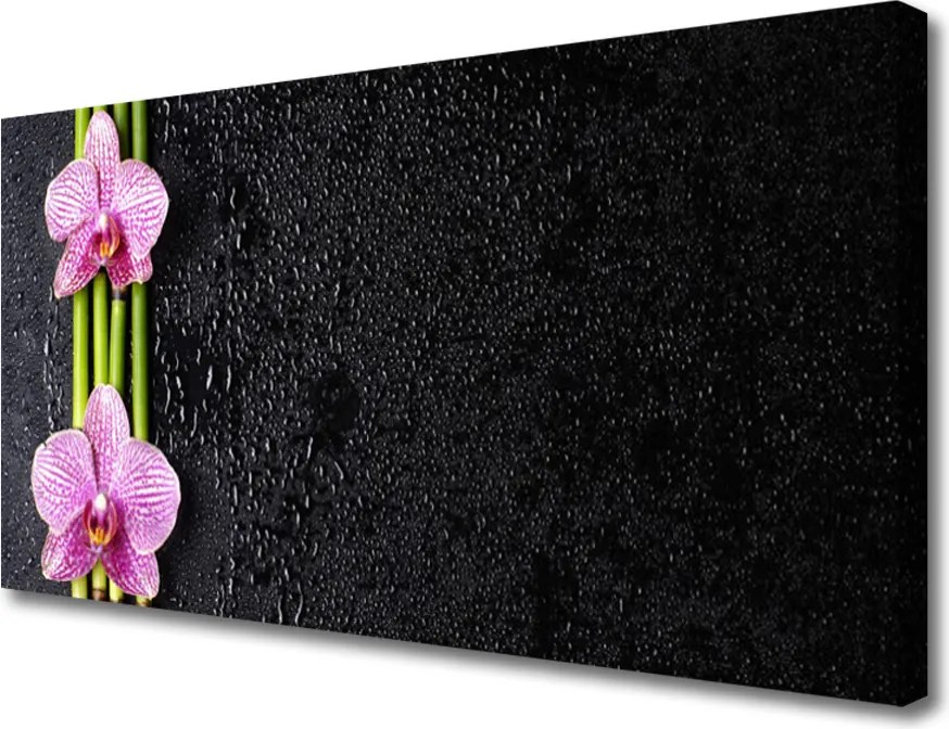 Obraz drukowany na płótnie Harmonijny Duet: Bambus i Lotos