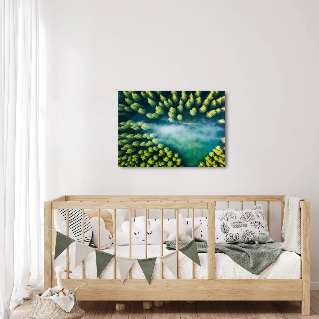 Obraz - Las spowity mgłą (70x50 cm)