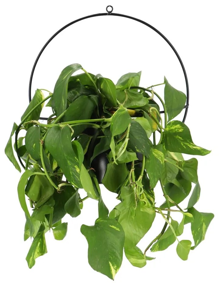 Czarny regulowany kwietnik z doniczką Esschert Design Planter