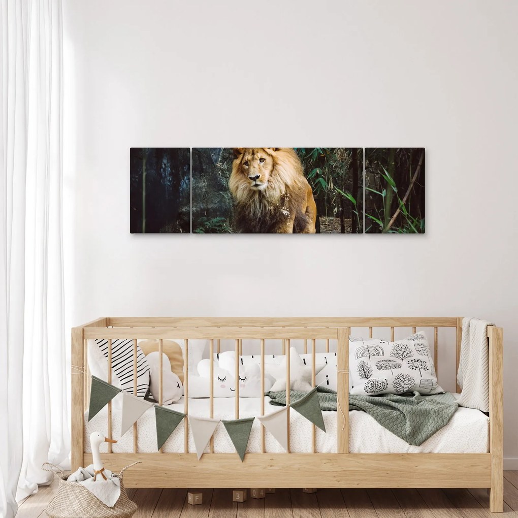 Obraz lwa w naturze (170x50 cm)