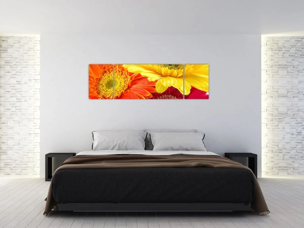 Obraz - Kwiaty Gerbery (170x50 cm)