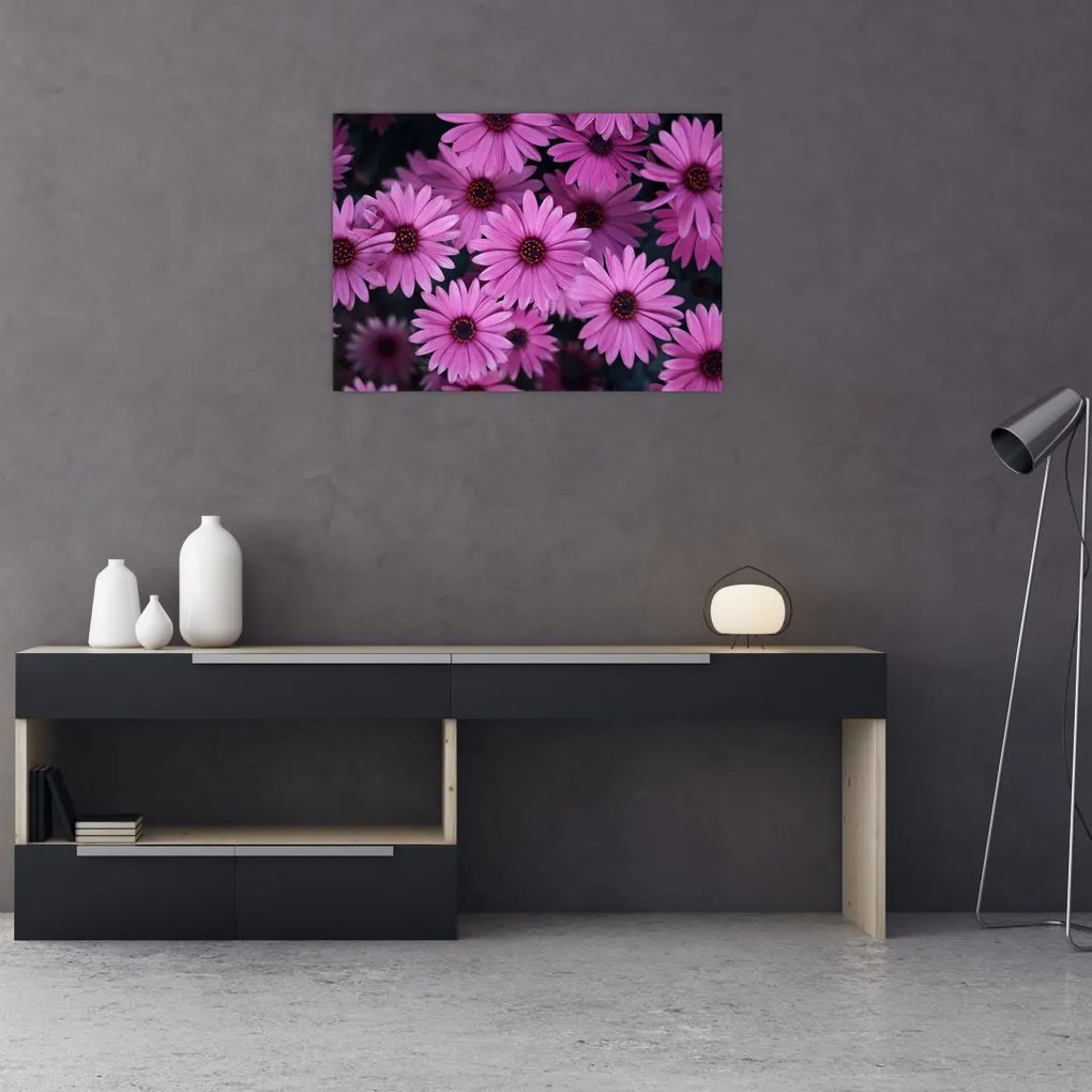 Obraz różowych kwiatów (70x50 cm)