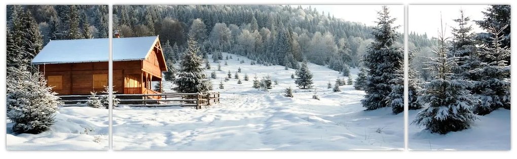 Obraz - Górska chata (170x50 cm)