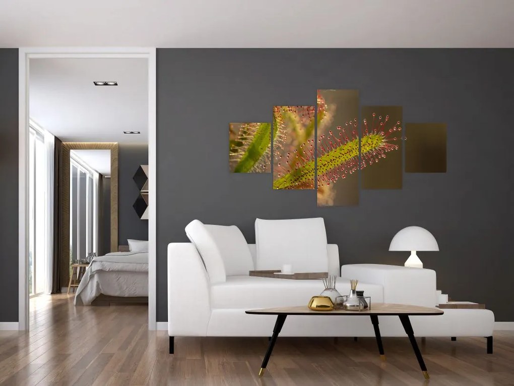 Obraz rośliny (125x70 cm)
