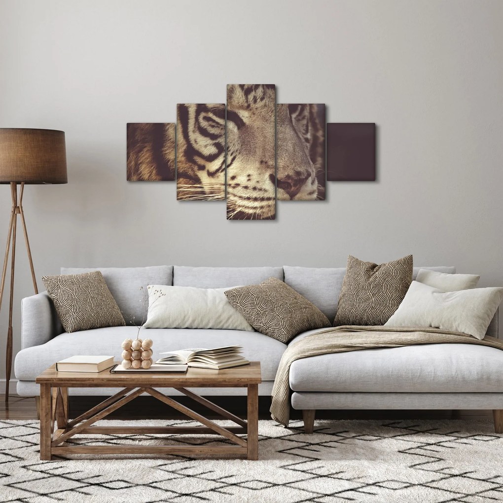 Obraz tygrysa (125x70 cm)