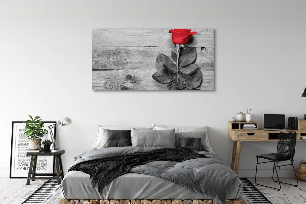 Obraz na płótnie Pojedyncza Czerwona Róża