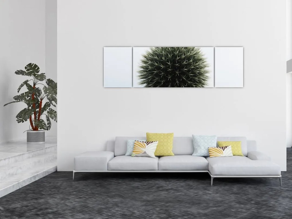 Obraz kuli kwiatowej (170x50 cm)