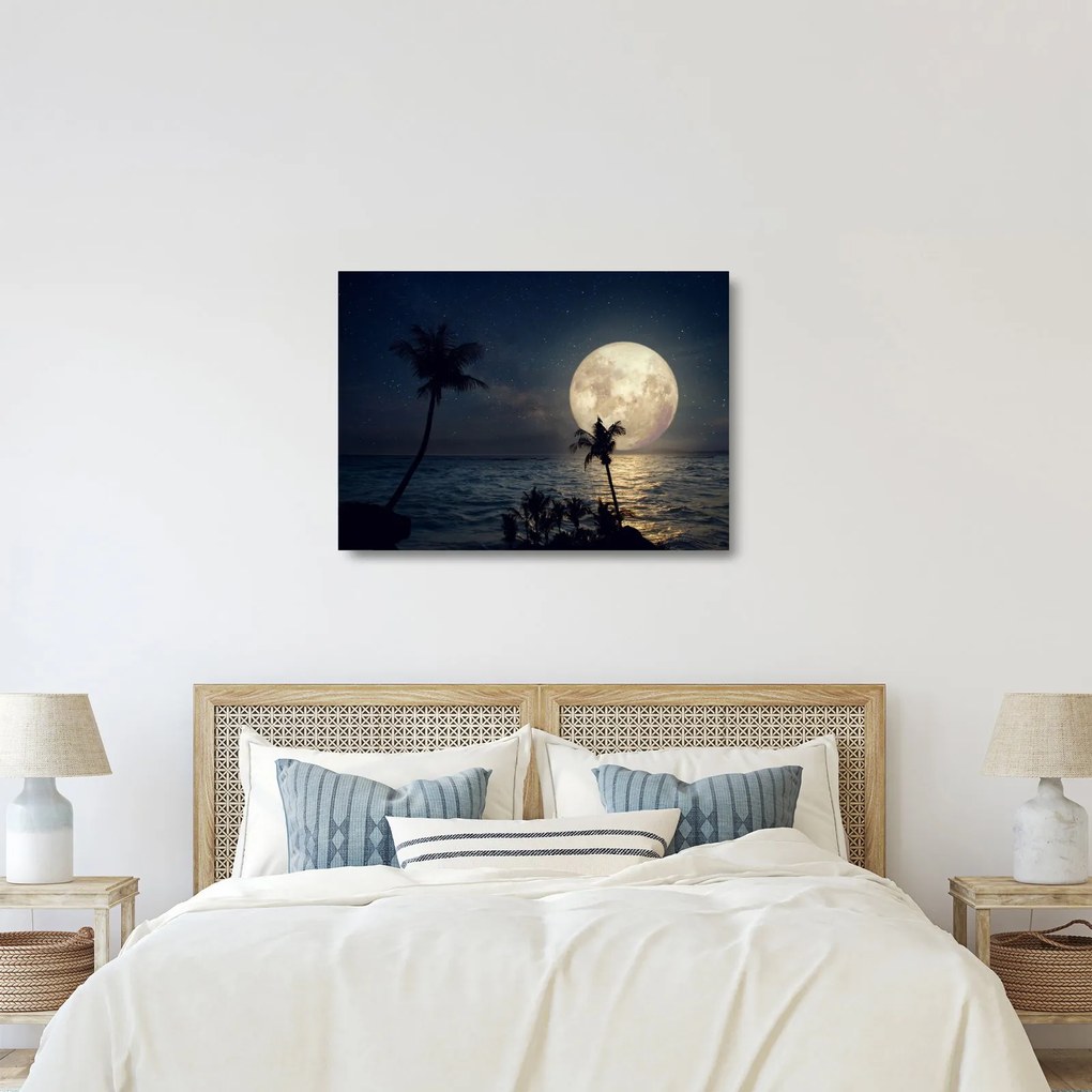 Obraz na szkle - Plaża przy pełni księżyca (70x50 cm)
