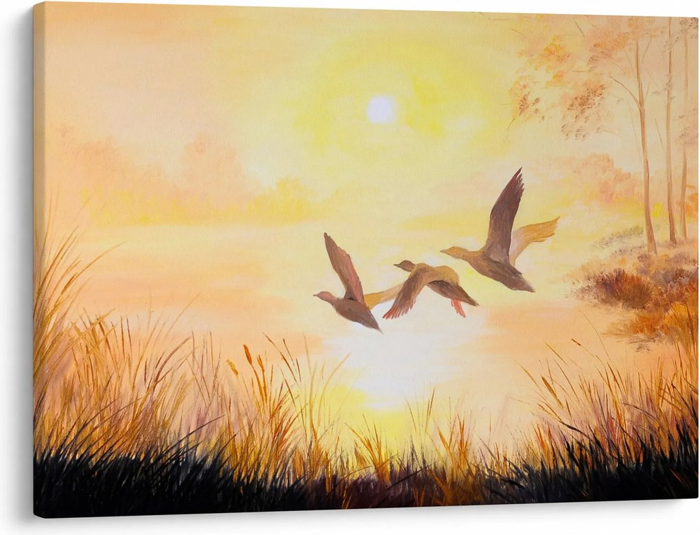 Obraz - Żurawie o zachodzie słońca (70x50 cm)