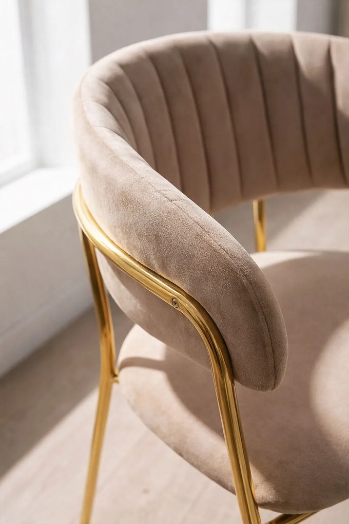 Krzeso Moniel Golden Velvet