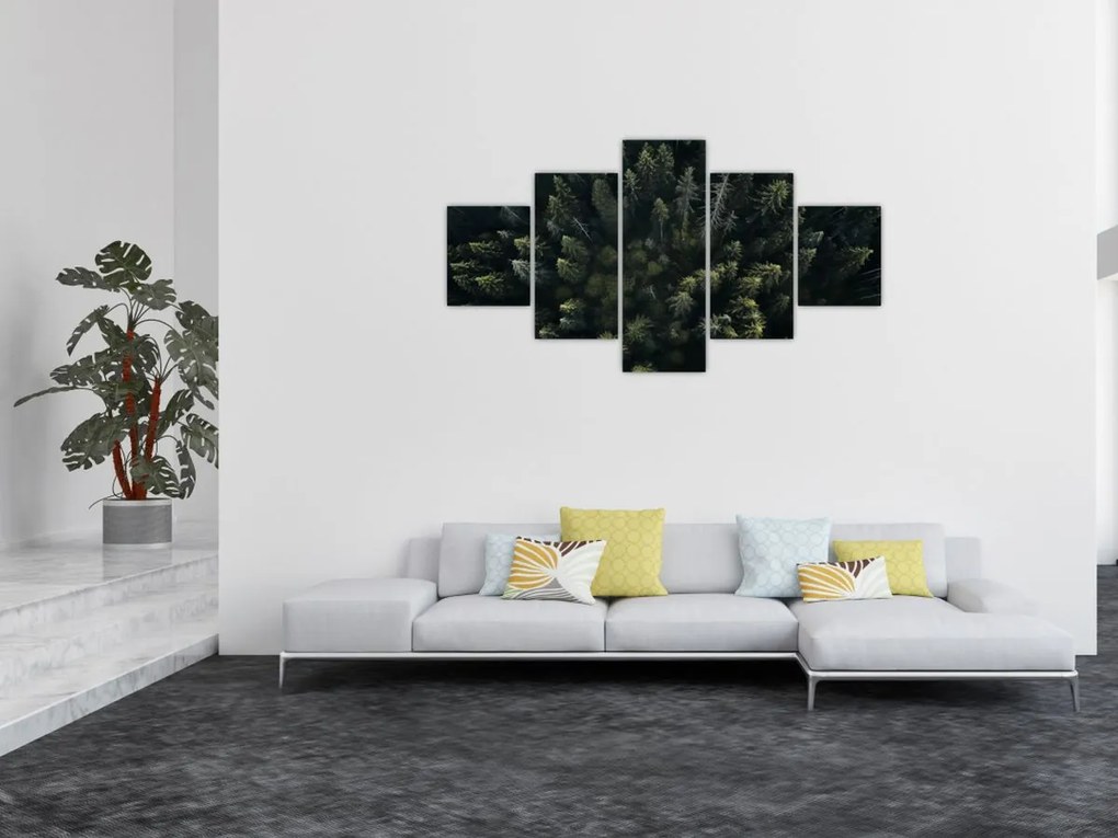 Obraz - Las (125x70 cm)