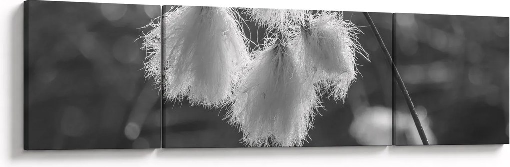 Obraz - Trawa bawełniana (170x50 cm)