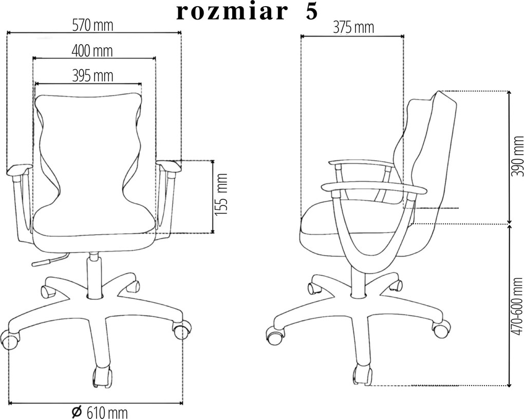 Obrotowe krzesło szkolne Twist z podłokietnikami rozmiar 5-6, podstawa biała