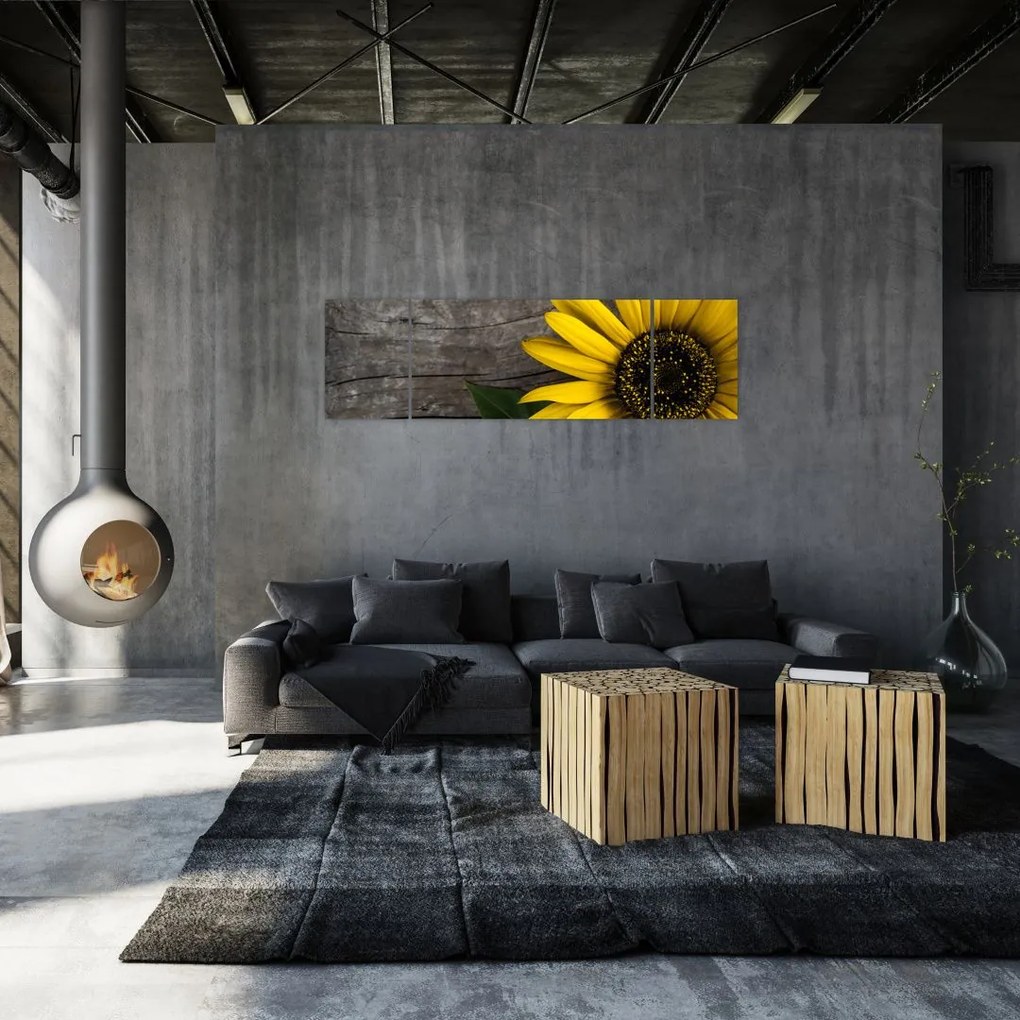 Obraz - Kwiat słonecznika (170x50 cm)