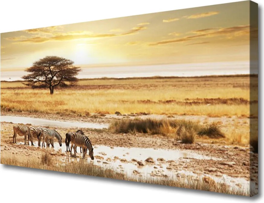Duży obraz na płótnie Zebry na Afrykańskiej Sawannie