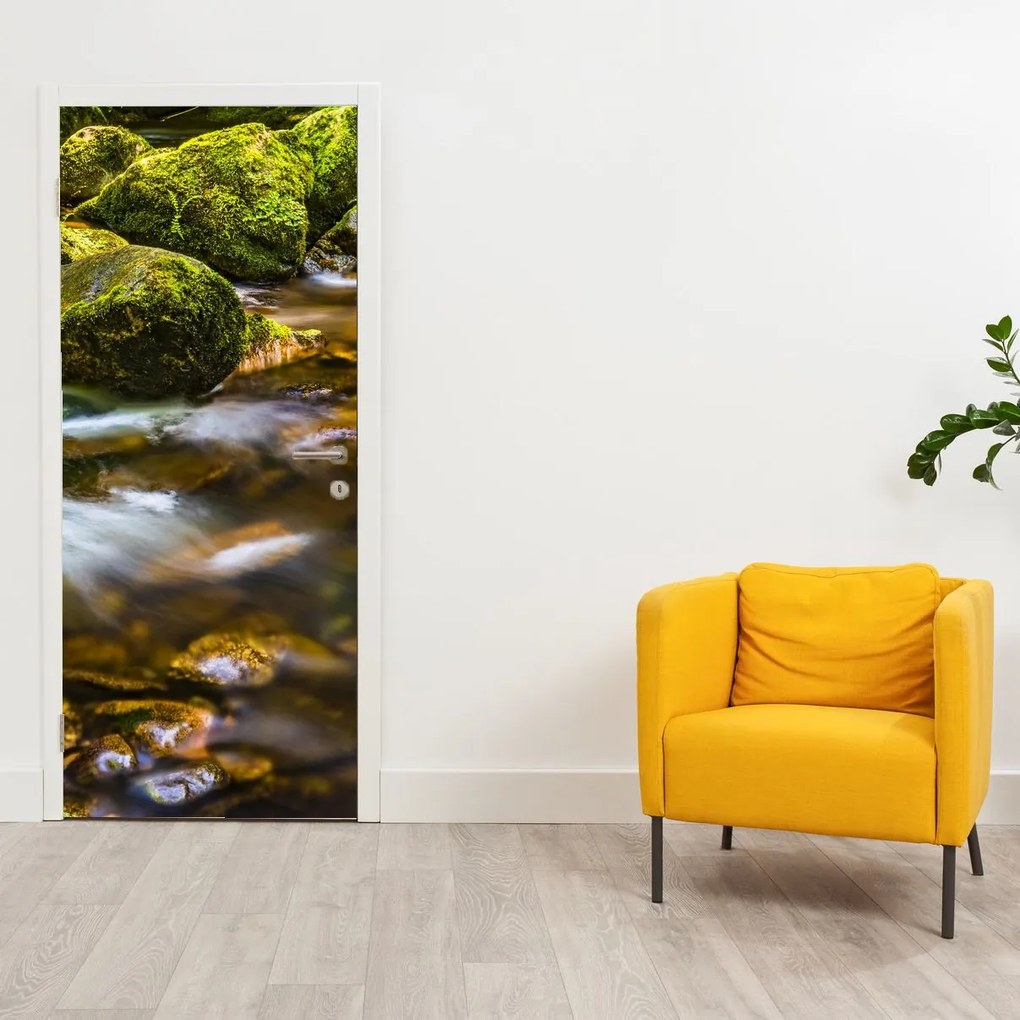 Fototapeta na drzwi - Strumień (95x205cm)