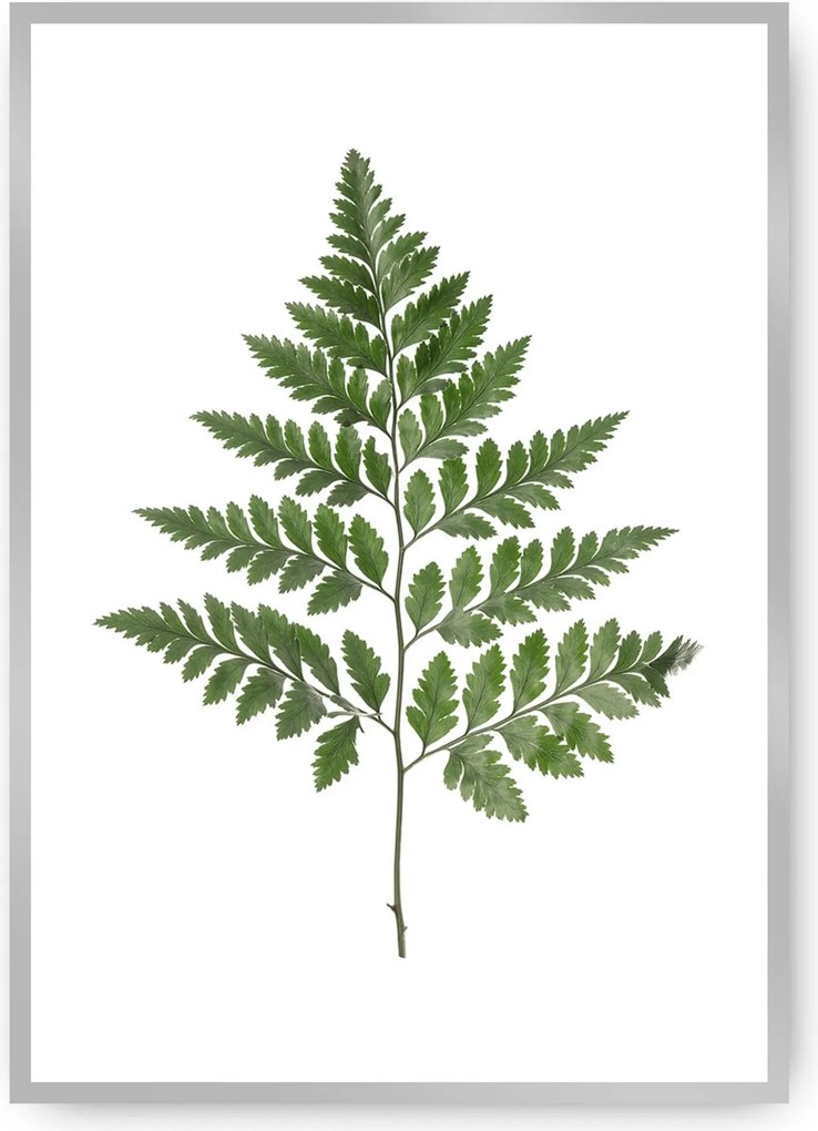 Plakat Fern Green