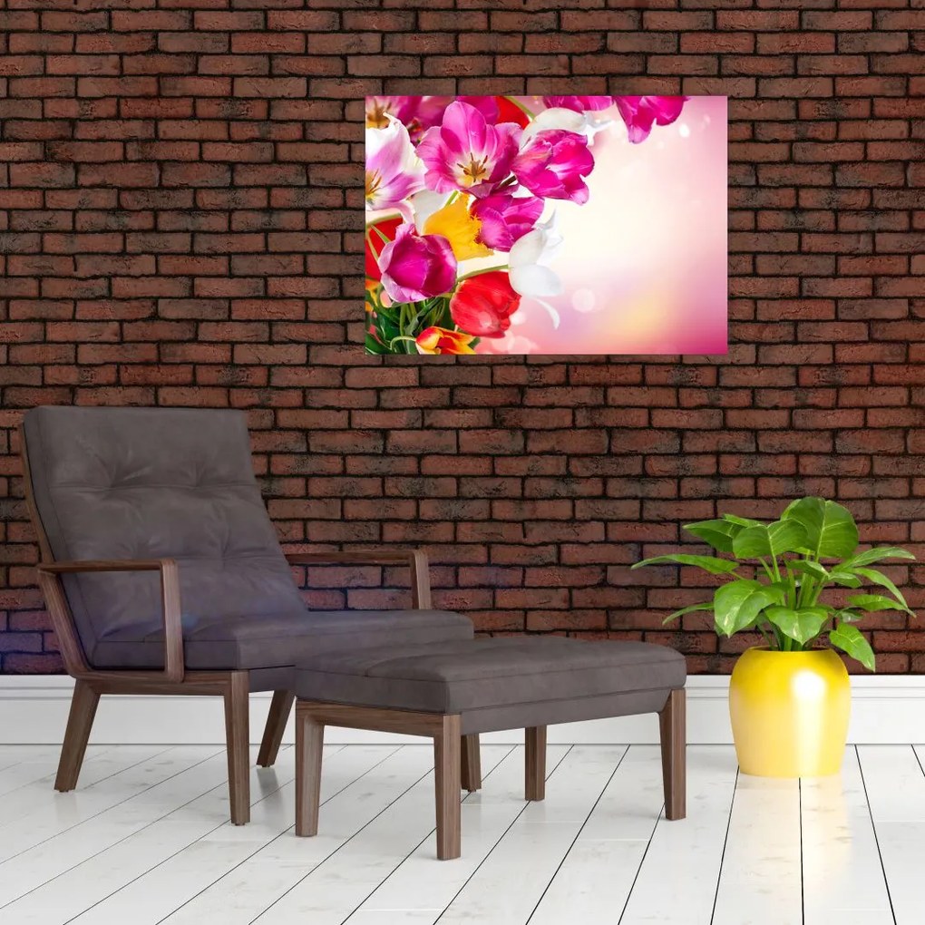 Obraz tulipanów (70x50 cm)