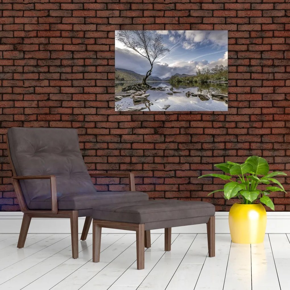 Obraz na szkle - rzeka z drzewem (70x50 cm)