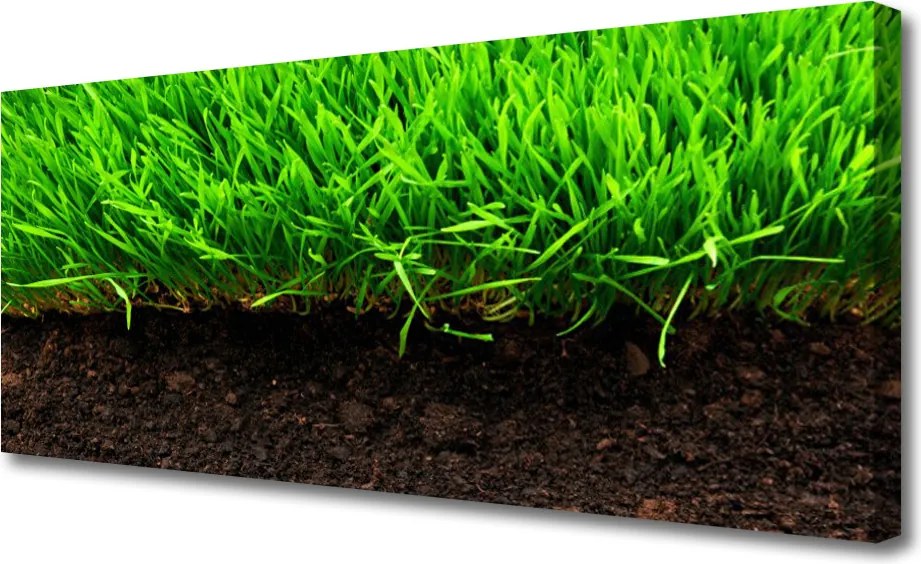 Obraz na płótnie Świeża Trawa o Poranku