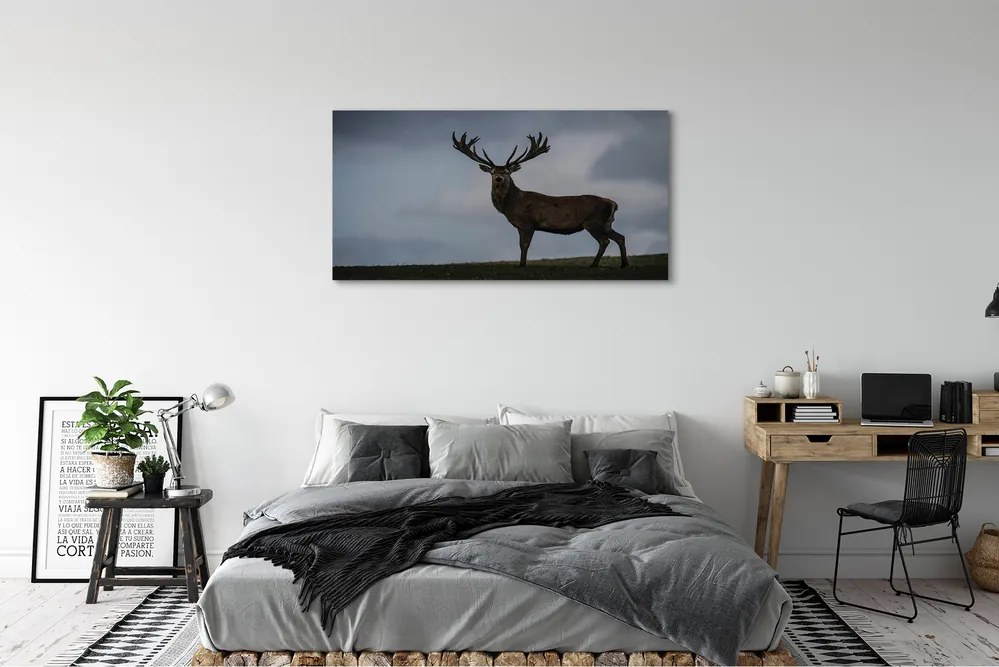 Obraz canvas na ścianę Nocne Spotkanie z Jeleniem