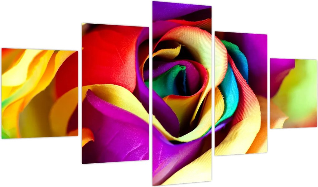 Obraz - Kolorowa róża (125x70 cm)