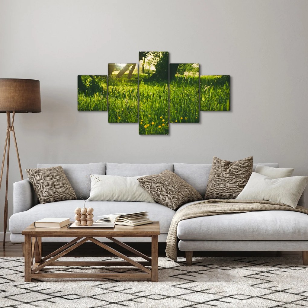 Obraz natury - łąka (125x70 cm)