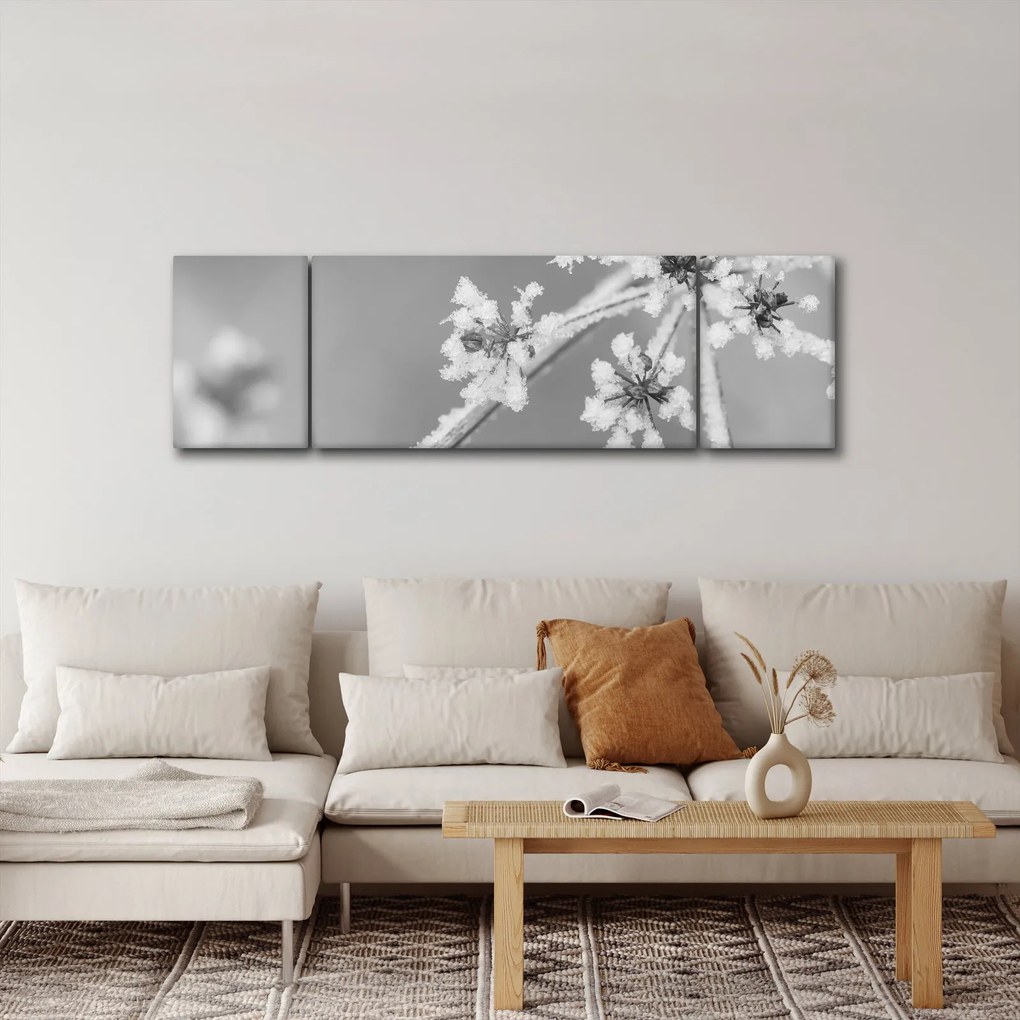 Obraz - Mrożona roślina (170x50 cm)