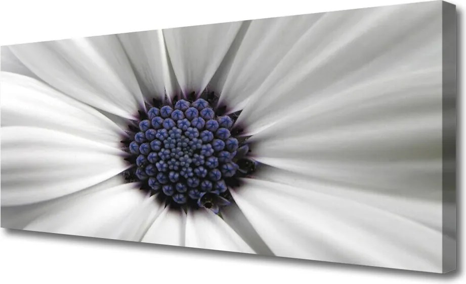 Duży obraz na płótnie Kwiatowy Akcent Wnętrza