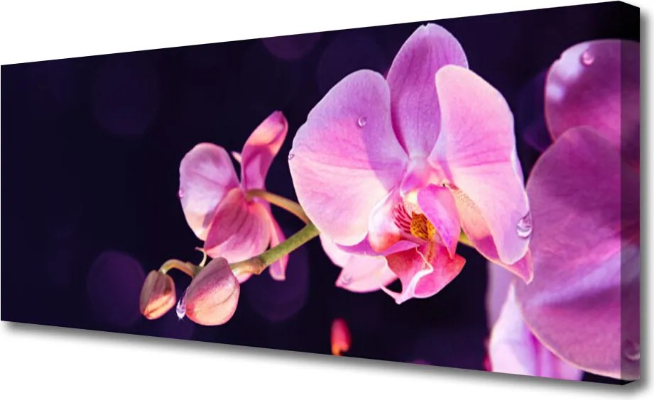 Obraz na płótnie Kompozycja Kwiatów i Liści