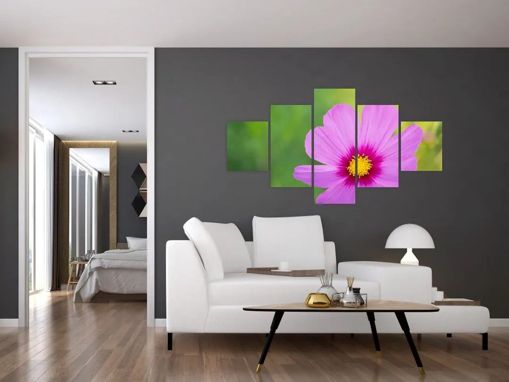 Obraz - polny kwiat (125x70 cm)