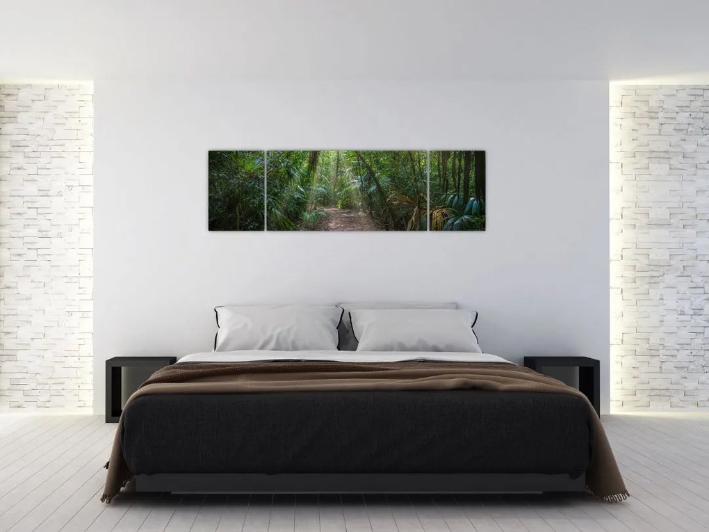 Obraz - Promienie słońca w dżungli (170x50 cm)