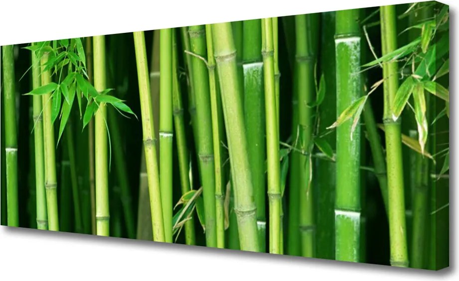 Obraz canvas Tajemniczy Las Bambusowy