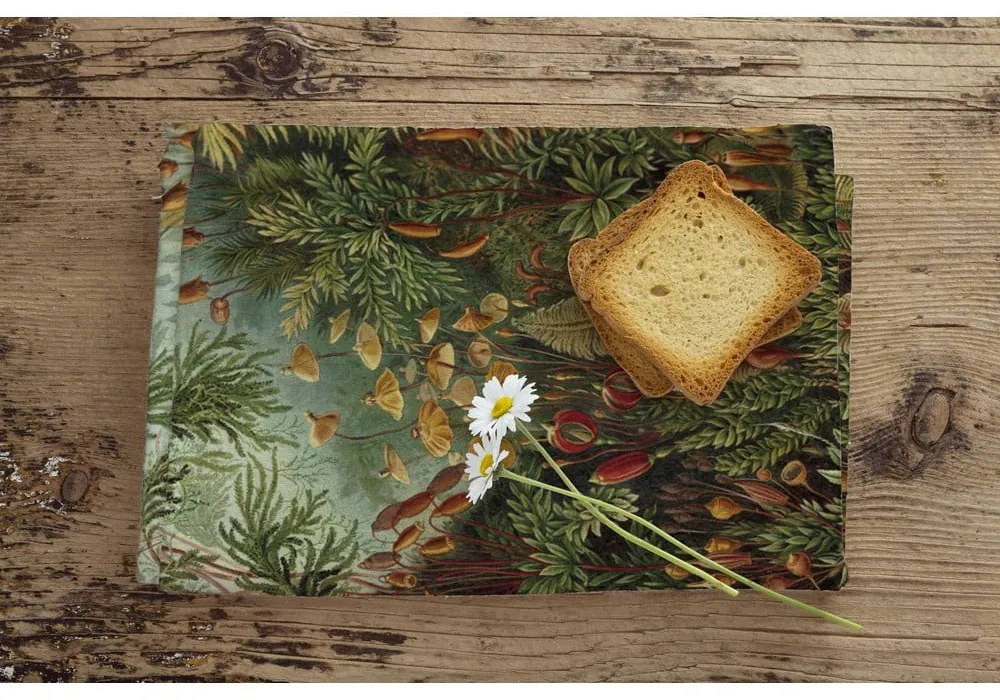 Ścierka 43x64 cm Deep Forest – Madre Selva