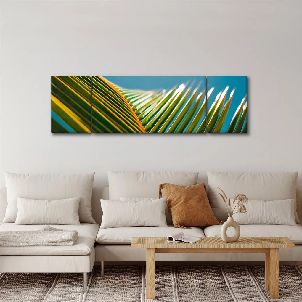 Obraz - Detal liścia palmowego (170x50 cm)