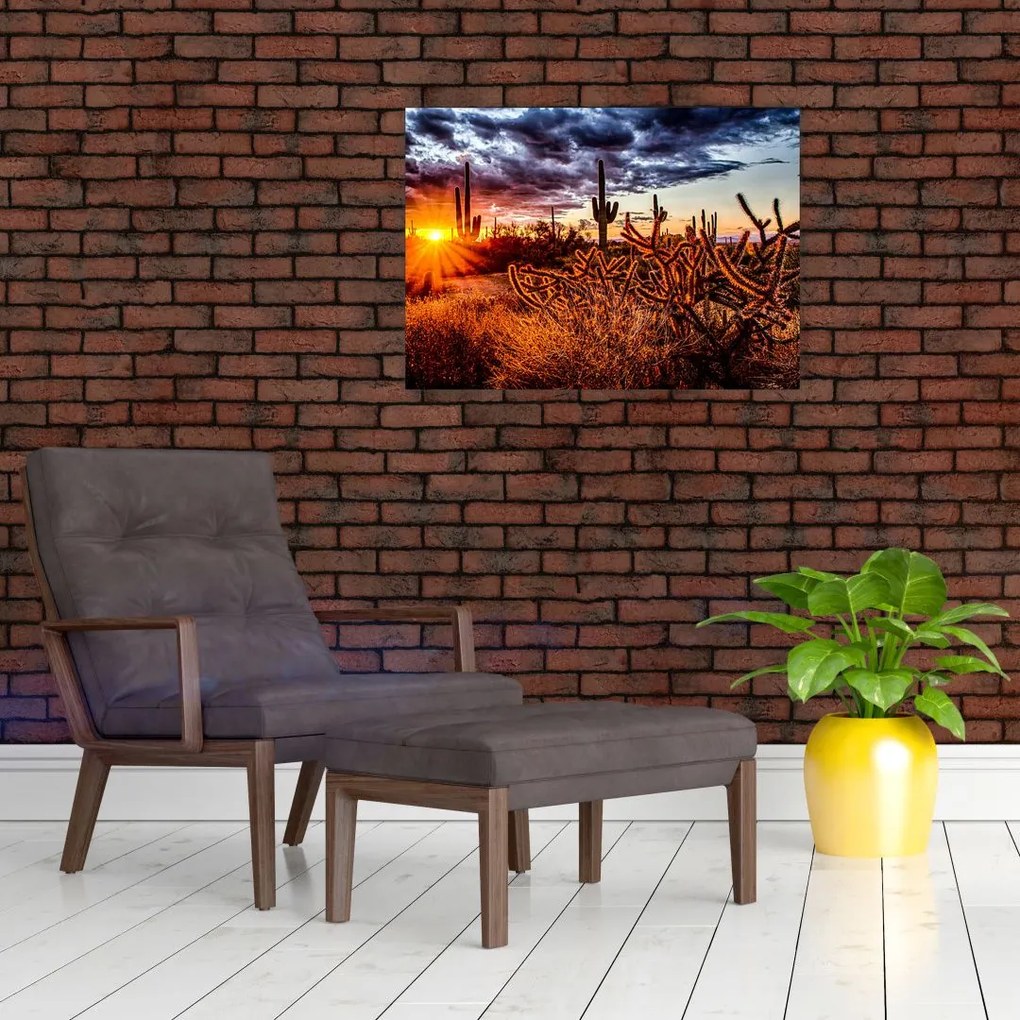 Obraz na szkle - Złota godzina pustyni (70x50 cm)