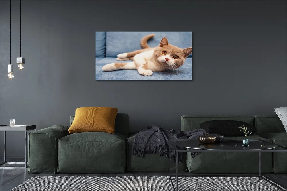 Duży obraz na płótnie Kot w Pozycji Leżącej