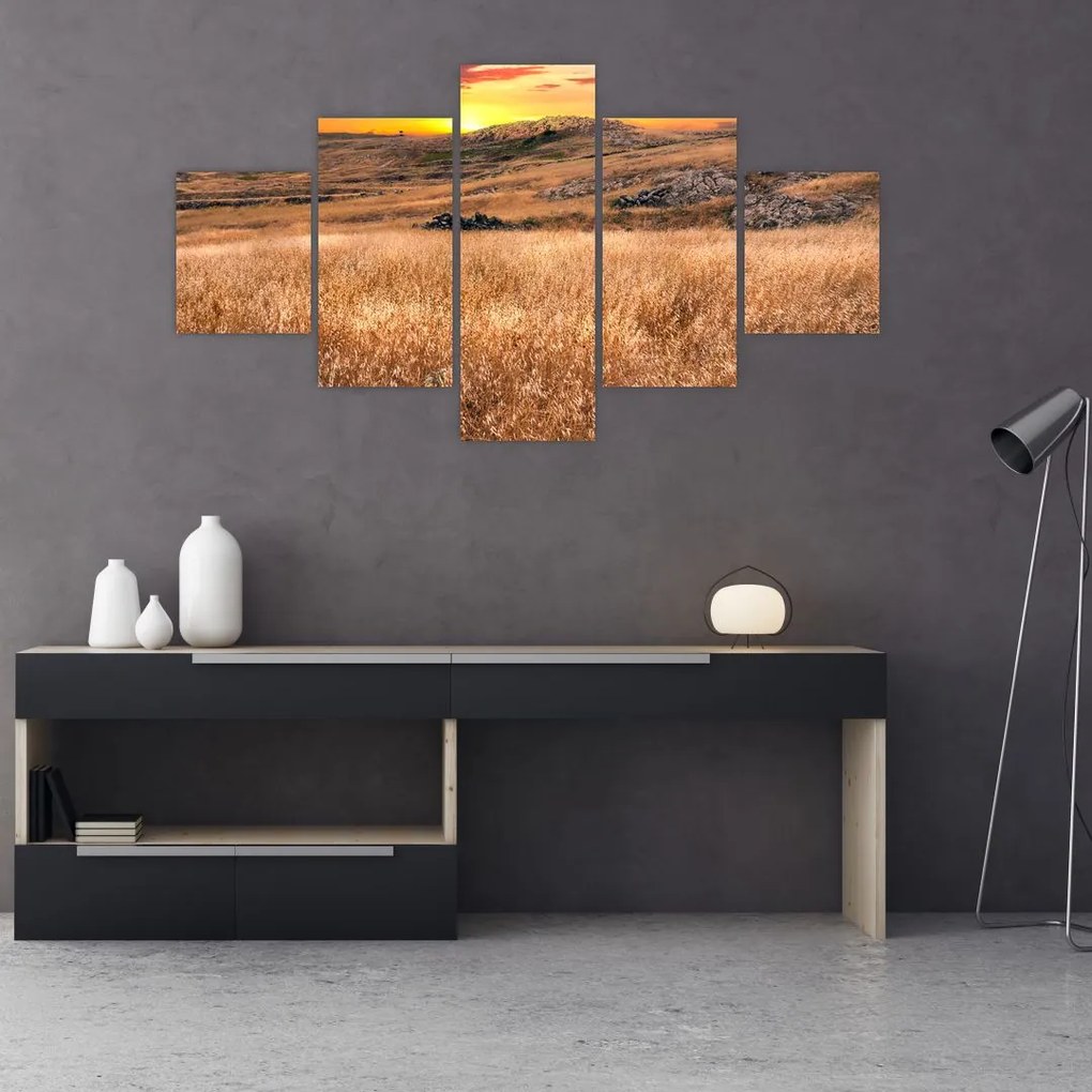 Obraz pola (125x70 cm)
