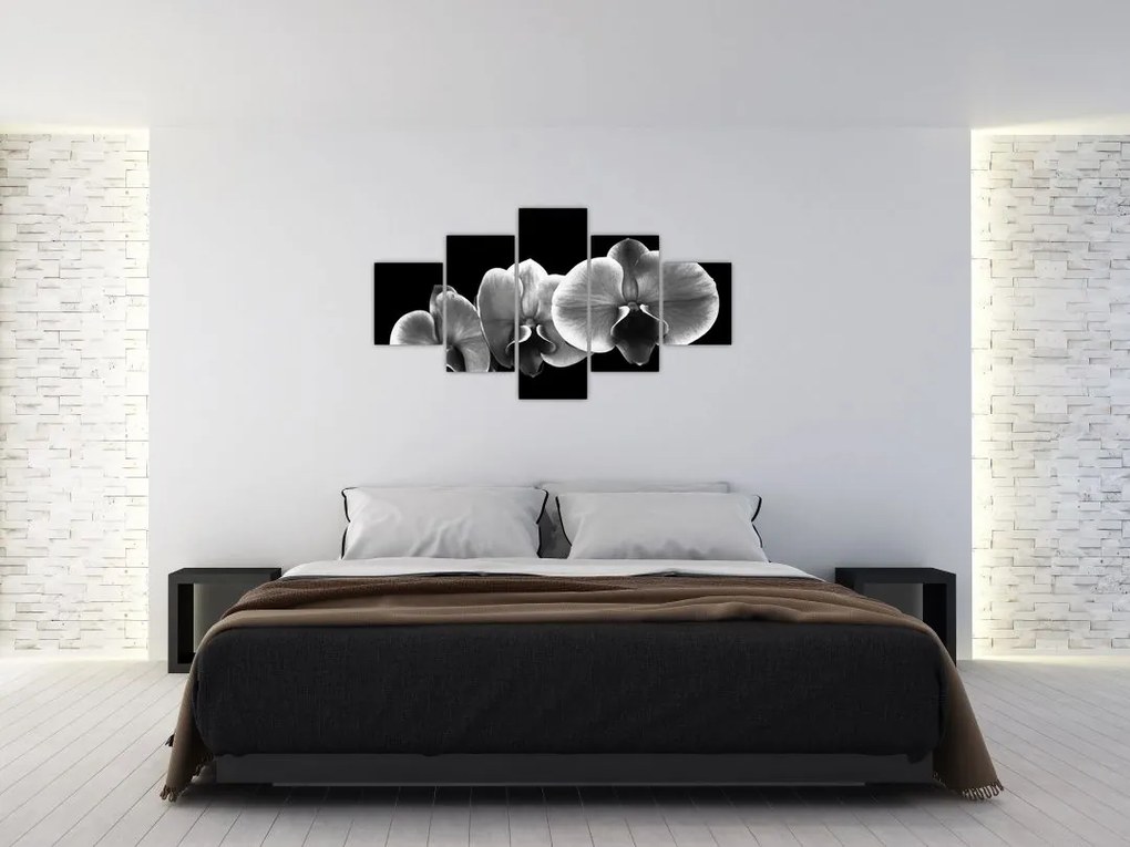 Obraz kwiatu orchidei (125x70 cm)